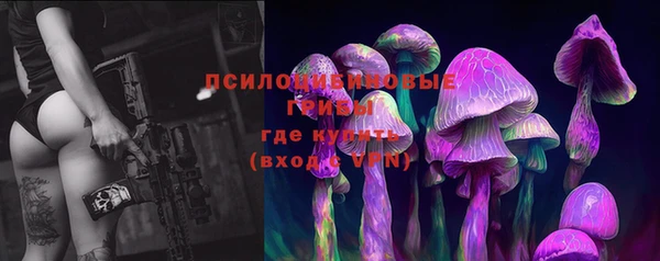 а пвп мука Козельск