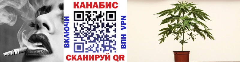 Бошки Шишки MAZAR  Купить закладки  Новосокольники 